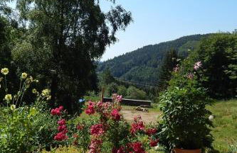 Apartment Haus Wiesental by Interhome - Foto 9