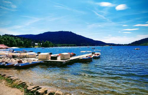 Notre Renardière, Gîtes à Saulxures-sur-Moselotte, Hautes-Vosges - Foto 55