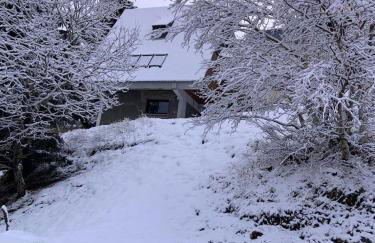 Chalet 6-8 pers St Lary Alt1700m -100mdespistes classé 4 étoiles - Photo 37