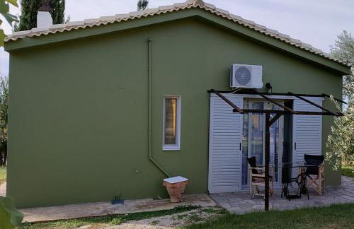 Socrates Organic Village - Wild Olive - Photo 48