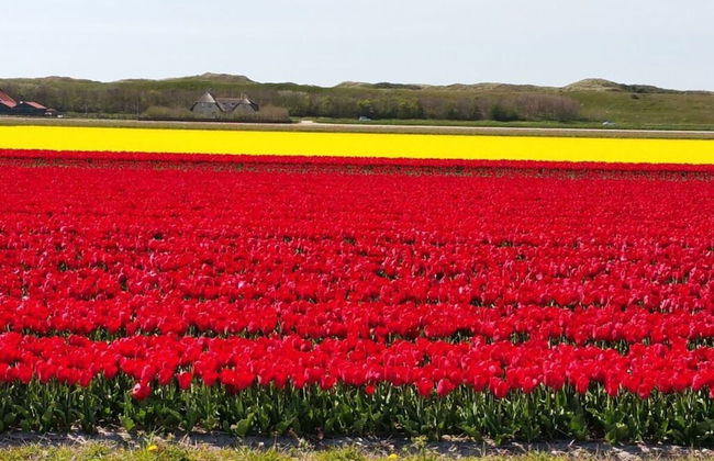 Summer Melody Comfortable Holiday Residence - Foto 20