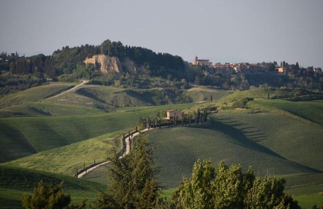 Tuscany Family Country Home - Photo 31