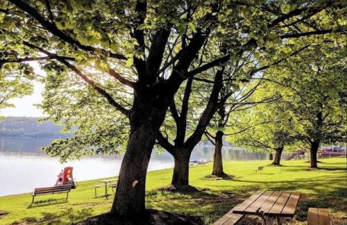 Morning Dove - Hidden Brookside Cottage in the Woods - Hot Tub - Fire Pit - Pet-Friendly - Seneca & Keuka Wine Trails - Foto 27