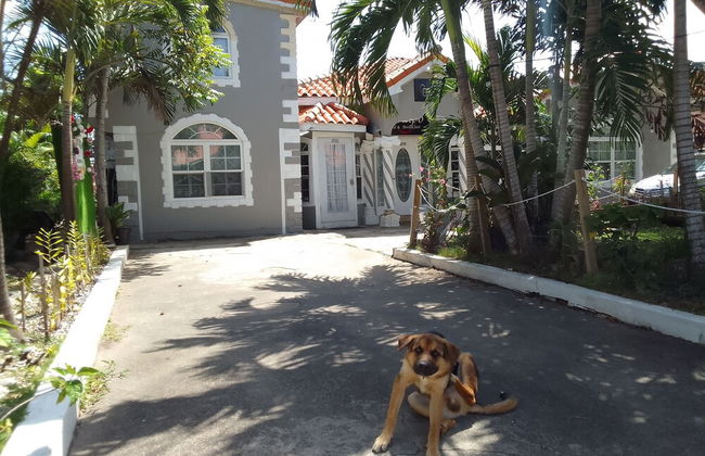 The Dream Nest At Csompo Silver Manor - Foto 28