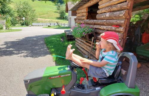 Urlaub auf dem Hänslehof - Foto 24