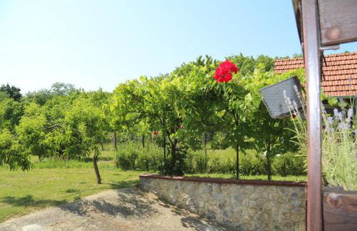Oaza mira Kris - Photo 23
