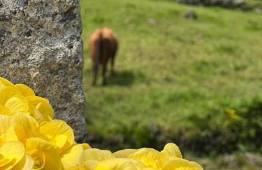 Nascer Do Sol Retreat Villa - Photo 43