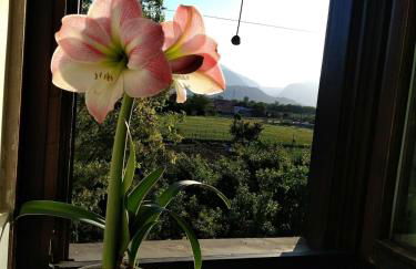 B&B Home Holiday Villa delle Acacie agriturismo - Foto 57