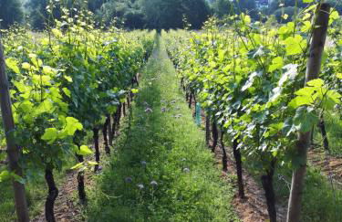 Ferienwohnung Emma - Foto 11