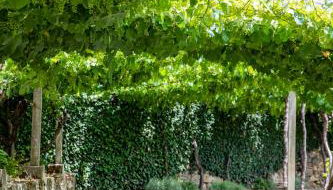 Casa de São Bernardo by LovelyStay - Photo 4