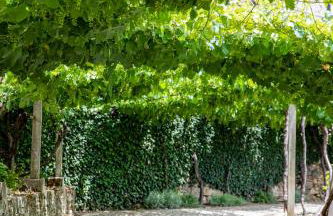 Casa de São Bernardo by LovelyStay - Foto 4