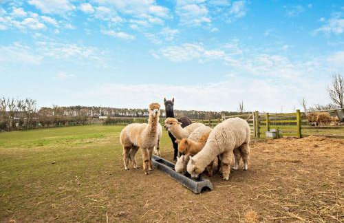 3 Bed in Cockermouth 82438 - Foto 23