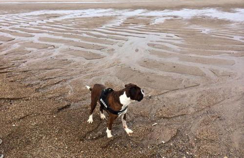 Tide Away Anderby Creek - Foto 22