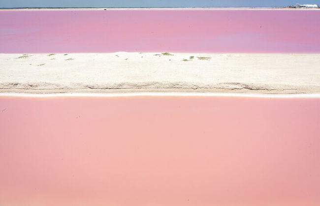Paradiesische Tour: Las Coloradas Pink Lake und Rio Lagartos inklusive Mittagessen. - Foto 10