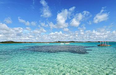 Casa simples e aconchegante - Foto 6