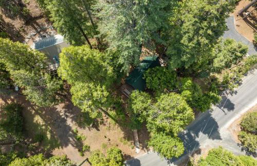 HB Hideaway Boho Treehouse Vibes in the Pines - Foto 53
