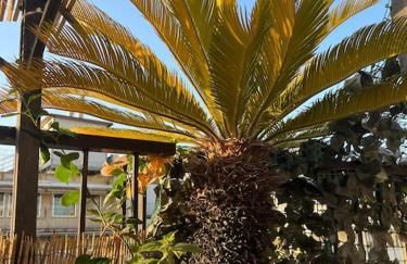 Da Giorgio e Teresa - Attico con terrazza a Piazza del Popolo - Foto 47