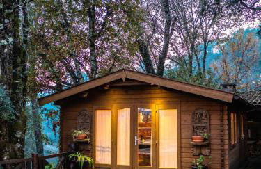 Casa da Terra Nova - Gerês - Foto 18