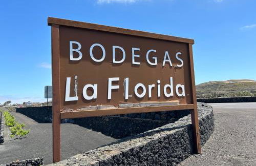 Volcano View - Photo 23