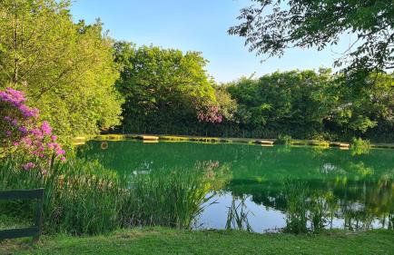 Detached Bungalow in North Cornwall - Foto 12