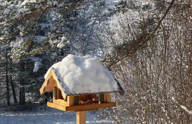 Häusle in der Tannenmühle - Foto 40