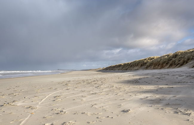 Sea Me If You Can - Foto 22