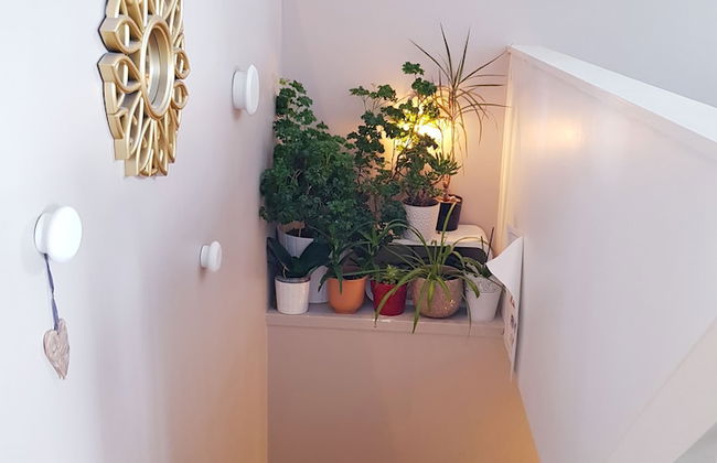 Solferie Holiday Apartment Tors gate - Photo 45