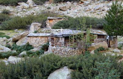 Les bougainvilliers - Foto 30