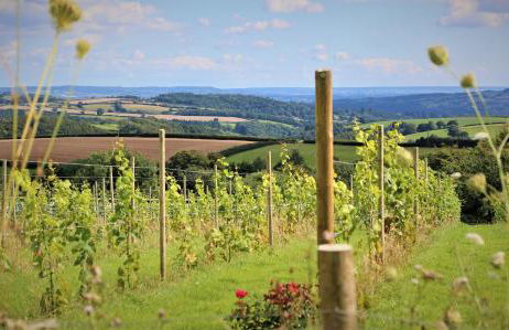 Quoit X Barn - Foto 41