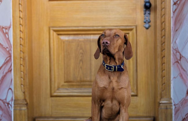 Ferienwohnungen Chiemgau - Foto 31