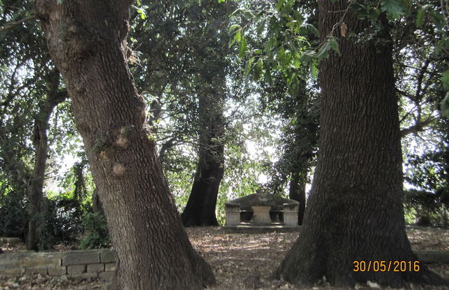 Villa Teseo - Photo 20