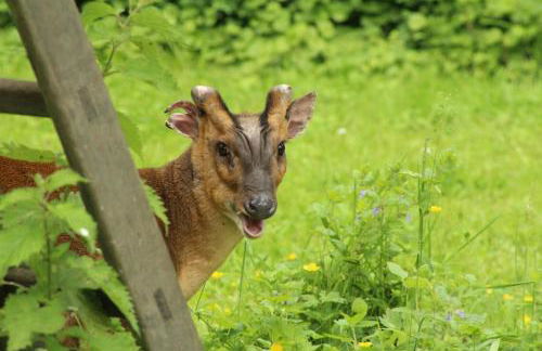 The Hive - beautiful studio with amazing hot tub - Foto 20