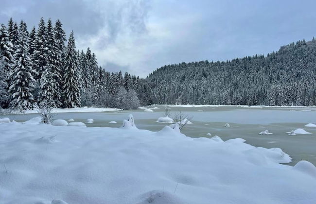 Chalet in La Bresse With Valley Views - Photo 34