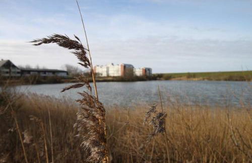 Apartment Meerflair mit Balkon - Foto 17