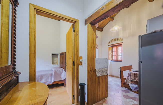 Ciliegiolo - Foto 17