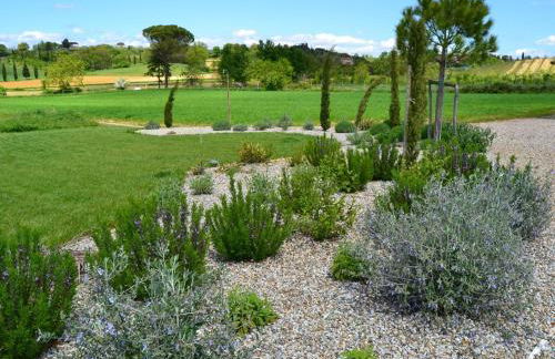 Rinidia Bio - Foto 32