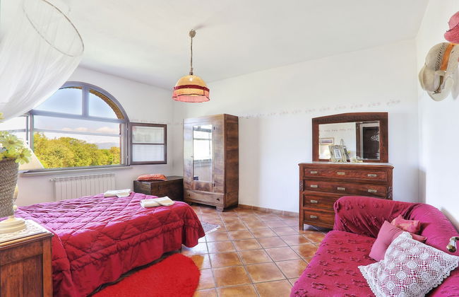 Casa Spiga Agriturismo Le Selvole - Tuscany - Foto 5