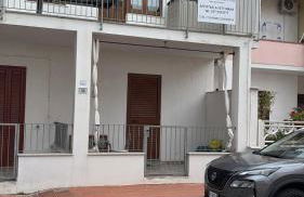 all ombra dei pini - Foto 33