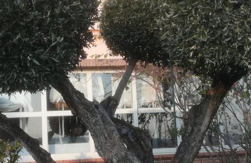 Anthos Casa Vacanze - Foto 69