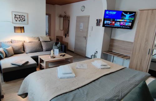 FaFeWo Ferienwohnungen mit Sternekomfort in Tanne Harz - Foto 18