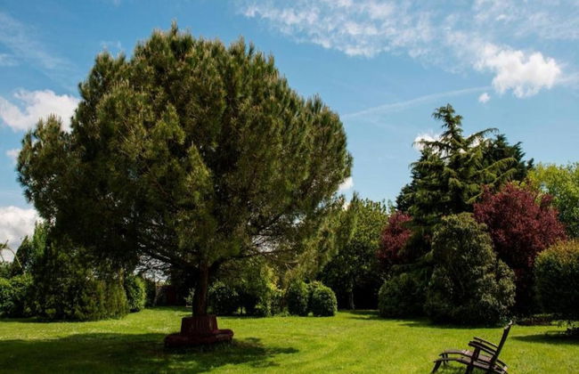 Villa in Nalliers With Private Pool and Garden - Foto 39