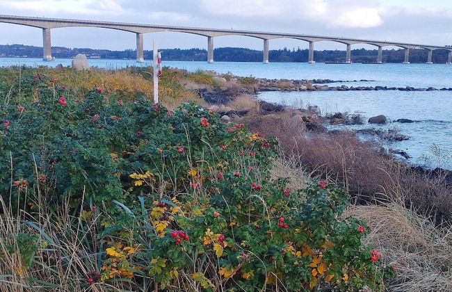 6 Person Holiday Home in Oster Assels-by Traum - Foto 3