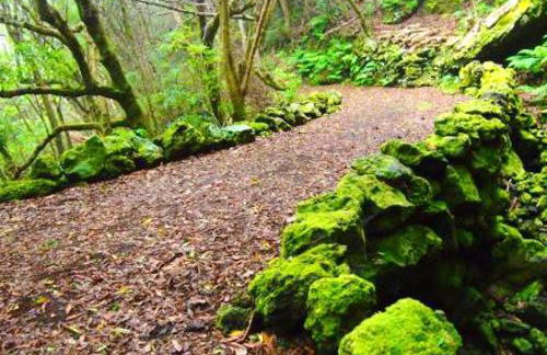 House with sea view in Santo Amaro, 212 sq m, terrace - Photo 39