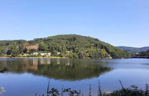 Maison au coeur du village de la Salvetat sur Agout - Foto 35