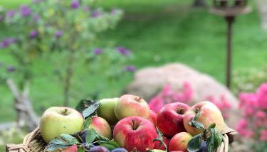 Ferienwohnung in Schmargendorf bei Angermünde - Foto 3