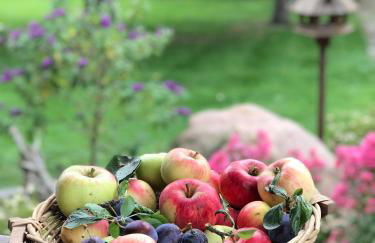 Ferienwohnung in Schmargendorf bei Angermünde - Foto 3