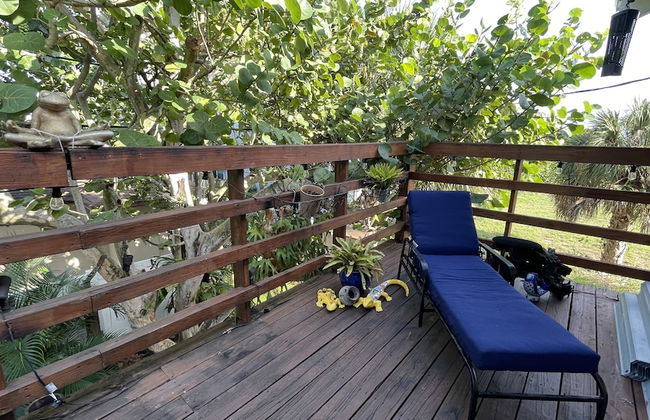 Treehouse Apartment Rentals - Foto 24