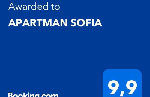 APARTMAN SOFIA - Foto 38