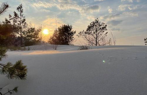 Golden Apartment Rogowo - Foto 40