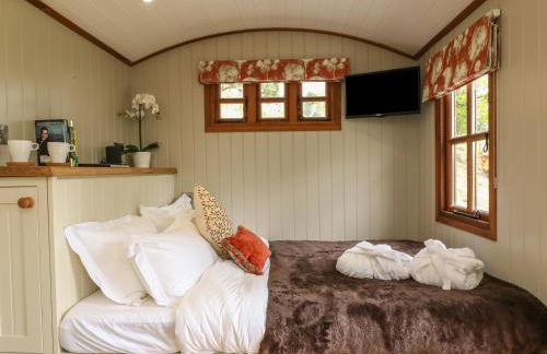 Little Silver Owl - Foto 11